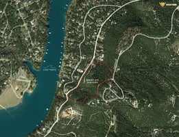 25455590