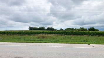 25459448