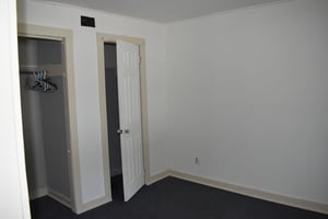 25462659