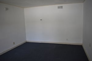 25462657
