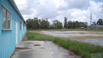 25463311