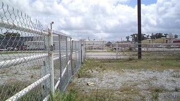25463313