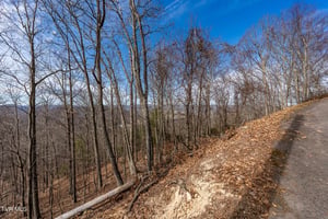 25724955