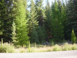 25463898