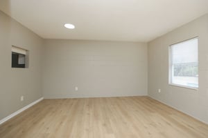 25513459