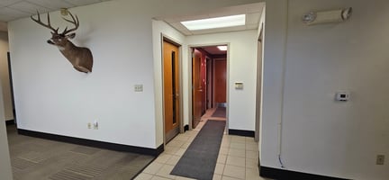 25470402