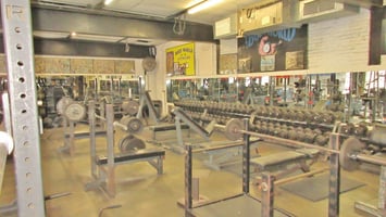 25471339