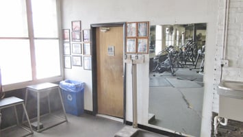 25471341
