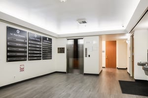25475331