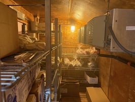 25474662