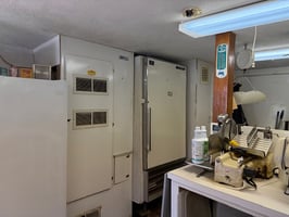 25474679