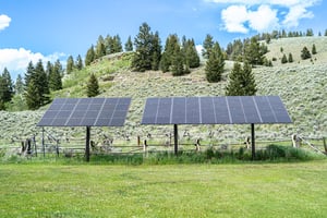 25480079