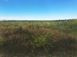25480780