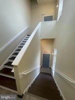 25483167