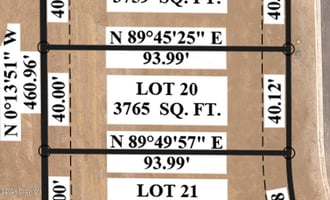 25484058