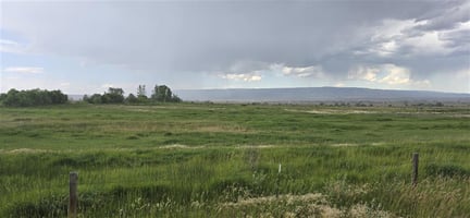25487397