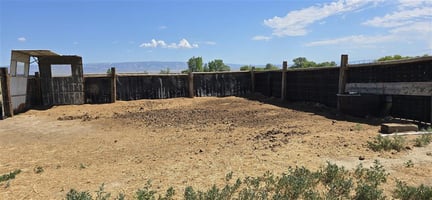 25487377