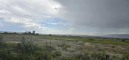 25487386