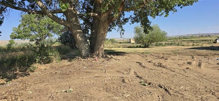 25487403