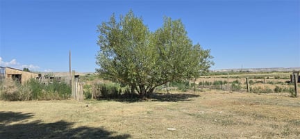 25487375
