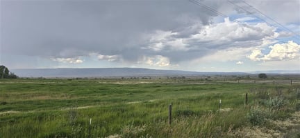 25487390