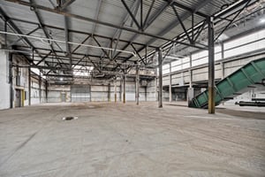 25495124