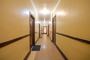 25493383