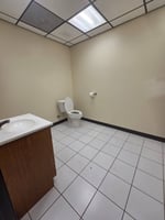 26353646