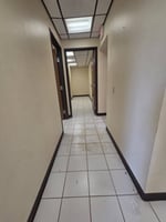 26353644