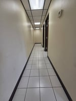 26353643