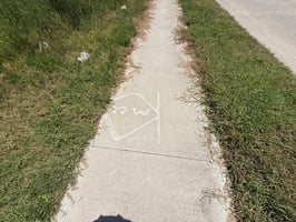 25497116