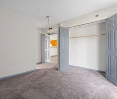 25516390