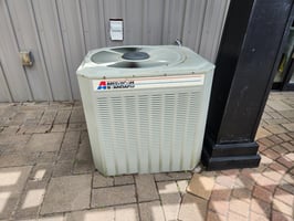 25523694