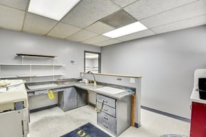 25523948