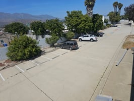 25529903