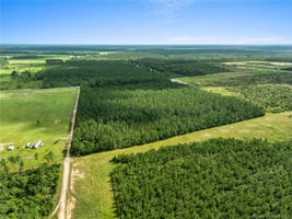 25545061