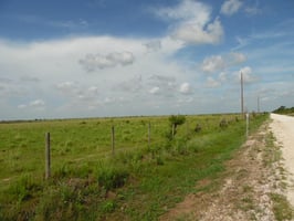 25551389