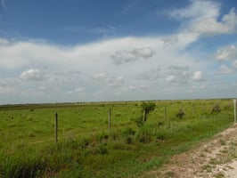 25551390