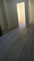 25561569