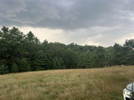 25561586