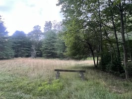 25561604