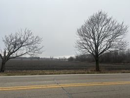 25569918