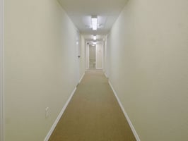 25664724