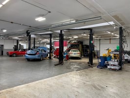 25665341