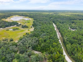 25698298