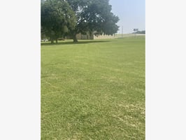 25700696