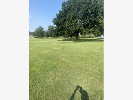 25700693