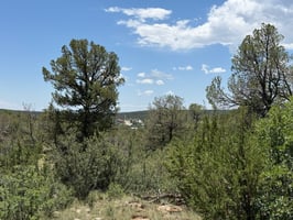 25716361