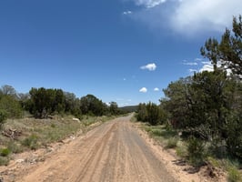 25716351