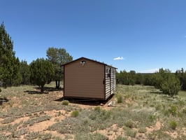 25716356